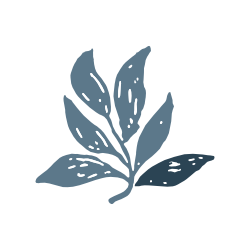 Moonsoon Patterns Logo